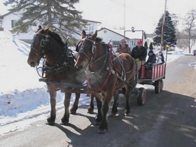 Horse_-_Heritage_Festival_2012.jpg